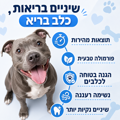 תרסיס דנטה קלין-תומך בנשימה רעננה ובשיניים נקיות לכלב