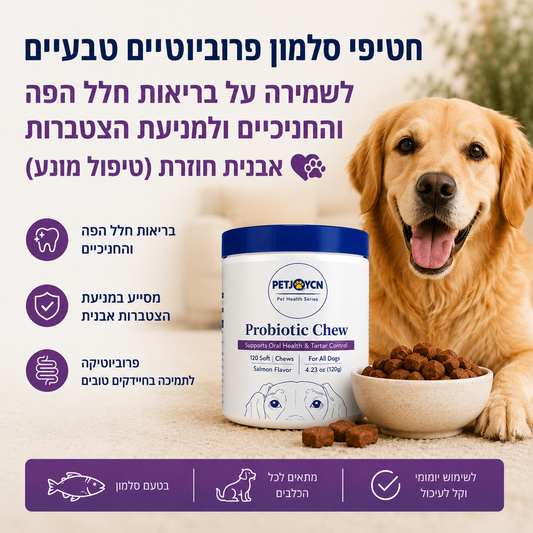 חטיפי סלמון פרוביוטיים לבריאות חניכיים ומניעת אבנית חוזרת
