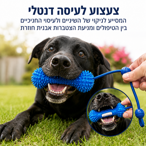צעצוע לעיסה דנטלי - טיפול מונע בין הטיפולים