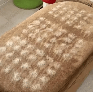 מברשת לניקוי שיערות חיות מחמד מהספות,רהיטים,אוטו, ב 28 שניות