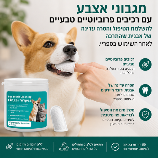מגבוני אצבע פרוביוטיים להשלמת הטיפול ולהסרת אבנית | 50 יחידות